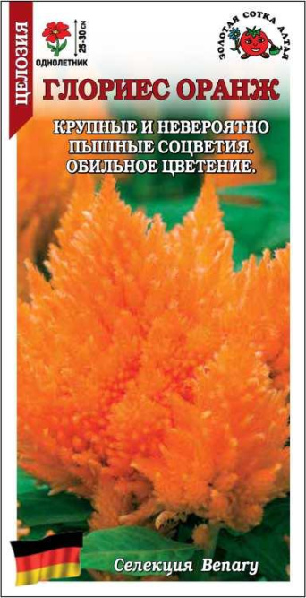 Семена целозия перистая Глориес оранж, Золотая сотка: фото
