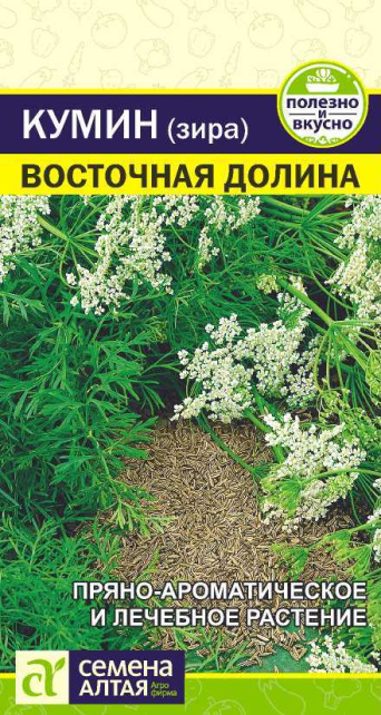 Семена кумин Восточная Долина, Семена Алтая: фото