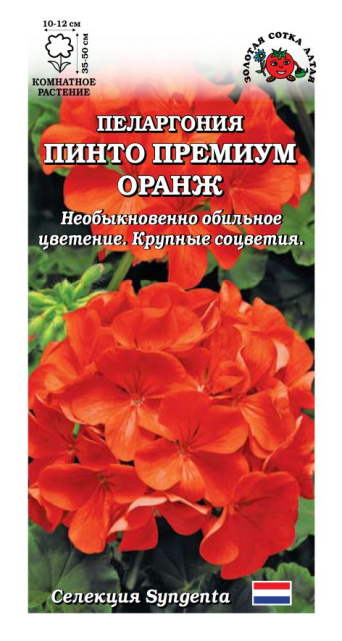 Семена пеларгония Пинто Премиум оранж, Золотая Сотка: фото