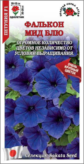 Семена петуния Фалькон мид блю F1, Золотая Сотка: фото
