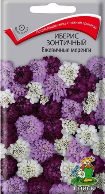 Семена иберис зонтичный Ежевичные Меренги, Поиск: фото