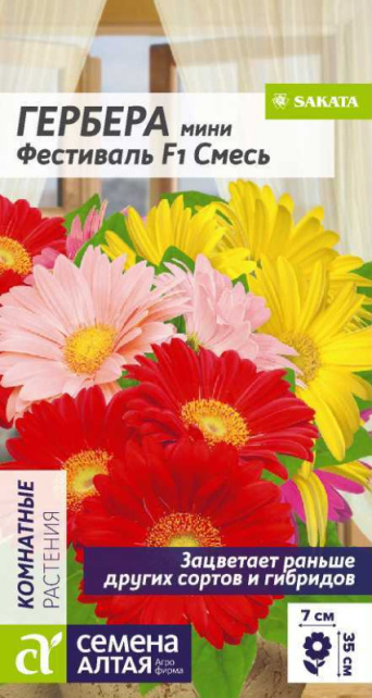 Семена гербера Фестиваль, Семена Алтая: фото