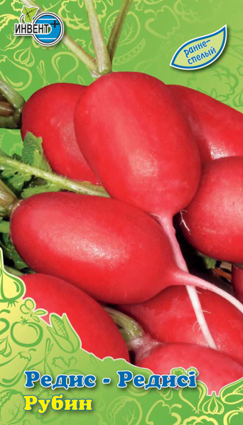 Редис Рубин, ИНВЕНТ+: фото