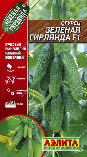 Семена огурец Зеленая Гирлянда F1, Аэлита: фото