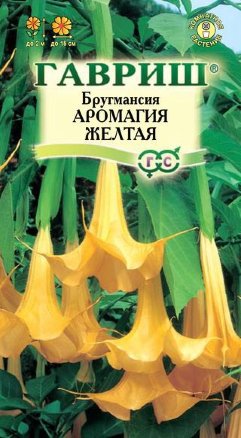 Семена бругмансия Аромагия желтая, Гавриш: фото