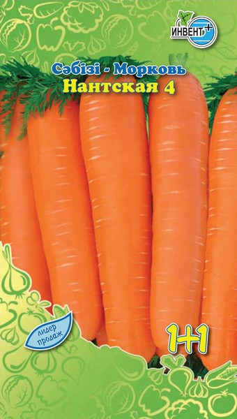 Морковь Нантская 4 1+1, ИНВЕНТ+: фото