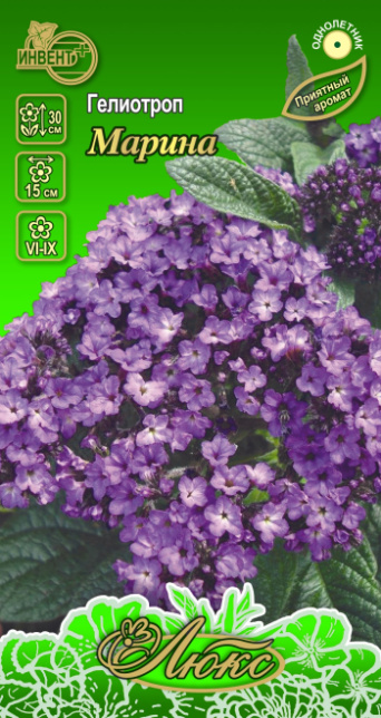 Гелиотроп Марина (серия ЛЮКС), ИНВЕНТ+: фото