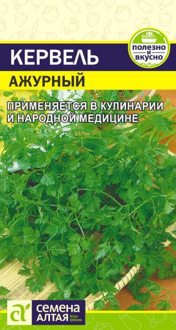 Семена кервель Ажурный, Семена Алтая: фото