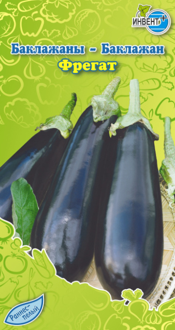 Баклажан Фрегат, ИНВЕНТ+: фото
