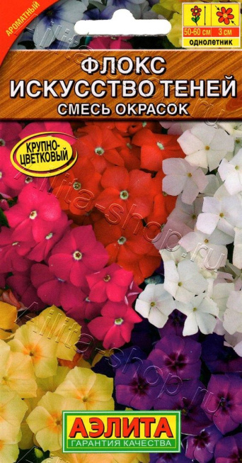 Семена флокс Искусство Теней, Аэлита: фото