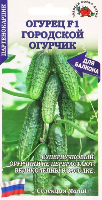 Семена огурец Городской огурчик F1, Золотая сотка: фото