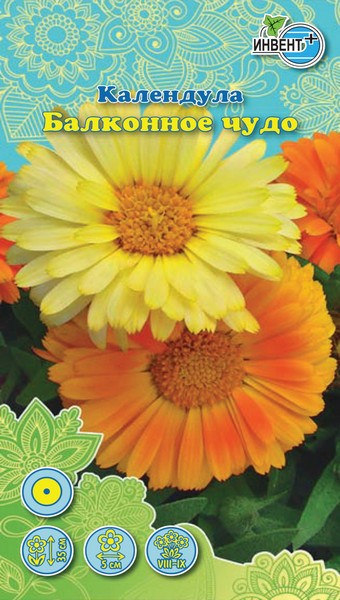 Календула Балконное Чудо, ИНВЕНТ+: фото