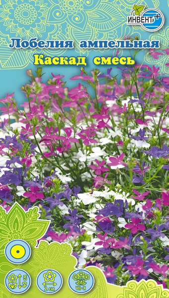 Лобелия ампельная Каскад смесь, ИНВЕНТ+: фото