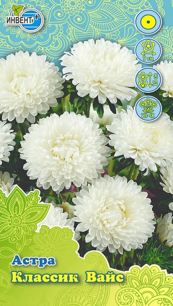 Астра Классик Вайс ИНВЕНТ+: фото