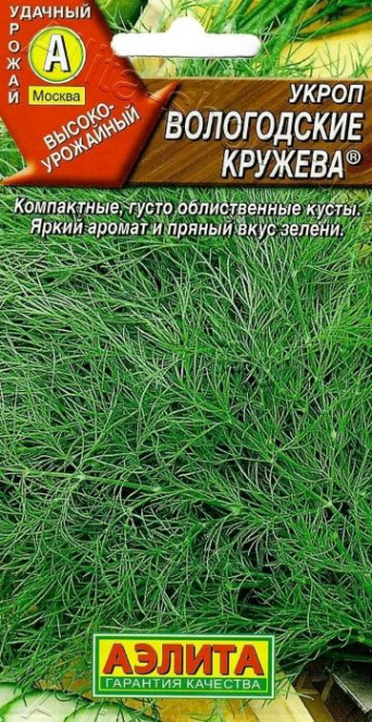 Семена укроп Вологодские кружева, Аэлита: фото