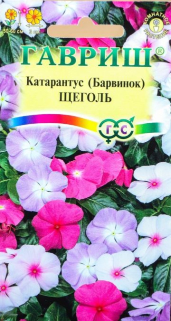 Семена катарантус (барвинок) Щеголь, Гавриш: фото