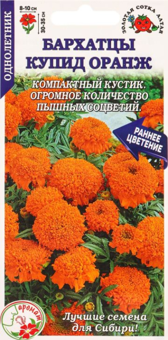 Семена бархатцы прямостоячие (тагетес) Купид Орандж, Золотая сотка: фото