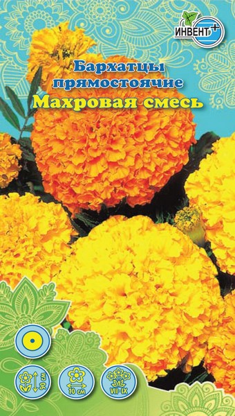 Бархатцы прямостоячие Махровая Смесь, ИНВЕНТ+: фото