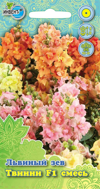 Львиный зев Твинни F1 смесь, ИНВЕНТ+: фото