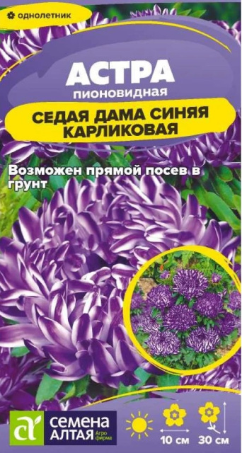 Семена астра Седая Дама синяя, Семена Алтая: фото