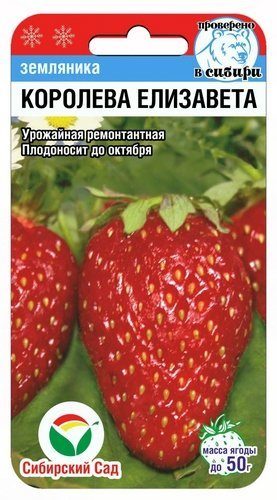 Семена земляника Королева Елизавета, Сиб Сад: фото