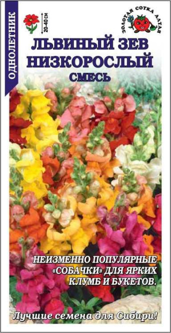 Семена львиный зев Низкорослый смесь, Золотая Сотка: фото