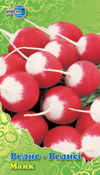 Редис Маяк, ИНВЕНТ+: фото