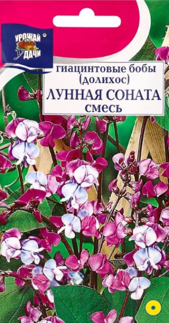 Семена гиацинтовые бобы (долихос) Лунная Соната, Урожай удачи: фото