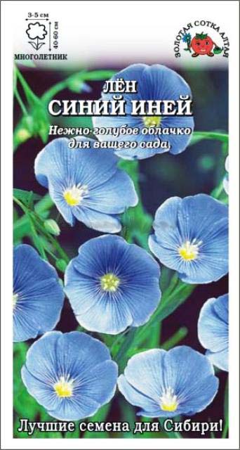 Семена лен Синий иней, Золотая Сотка: фото