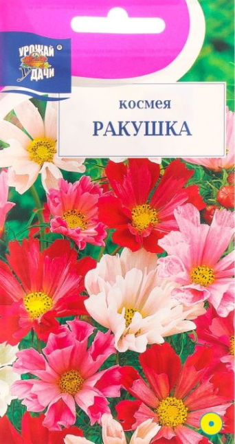 Семена космея Ракушка, Урожай удачи: фото