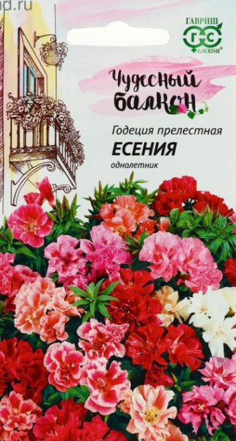 Семена годеция низкорослая Есения, смесь, Гавриш: фото