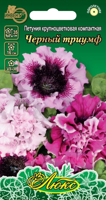 Петуния Черный Триумф (серия ЛЮКС), ИНВЕНТ+: фото
