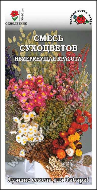 Семена смесь сухоцветов, Золотая Сотка: фото