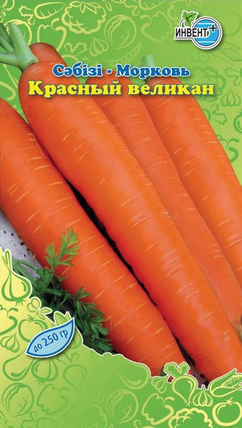 Морковь Красный Великан, ИНВЕНТ+: фото
