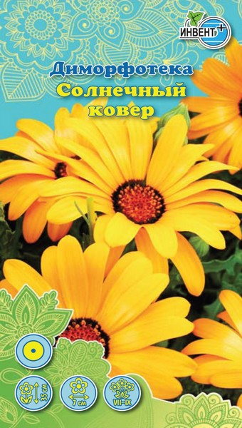 Диморфотека Солнечный Ковер ИНВЕНТ+: фото