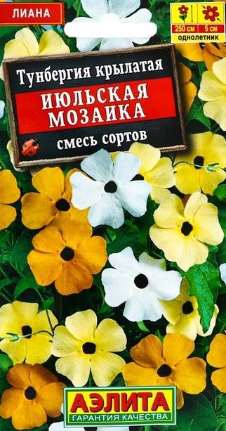 Семена тунбергия Июльская Мозаика, смесь, Аэлита: фото