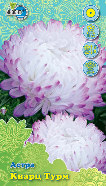 Астра Кварц Турм, ИНВЕНТ+: фото