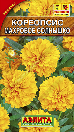 Семена кореопсис Махровое Солнышко, Аэлита: фото