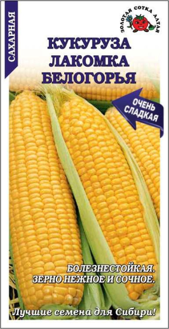Семена кукуруза сахарная Лакомка Белогорья, Золотая Сотка: фото