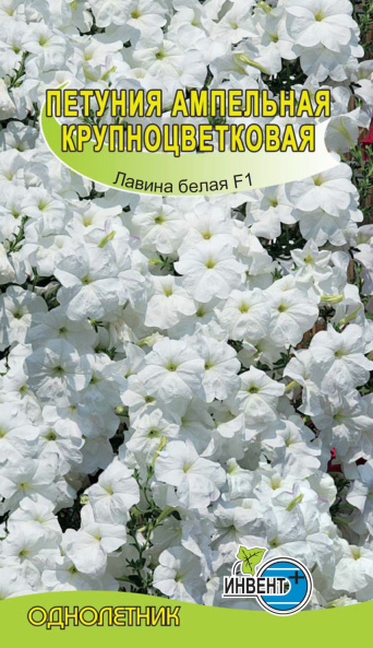 Петуния ампельная Лавина F1 белая, ИНВЕНТ+: фото