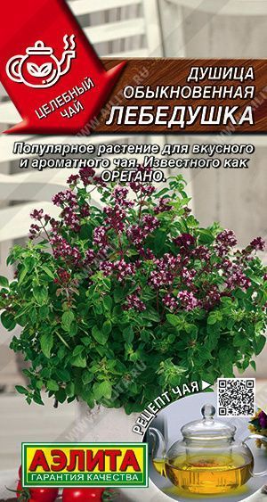 Семена душица обыкновенная Лебедушка, Аэлита: фото