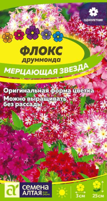 Семена флокс друммонда Мерцающая Звезда, Семена Алтая: фото