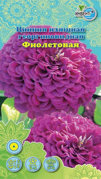 Цинния изящная георгиновидная Фиолетовая, ИНВЕНТ+: фото