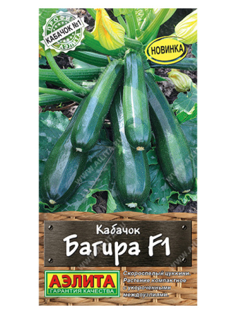 Семена кабачок цуккини Багира, Аэлита: фото