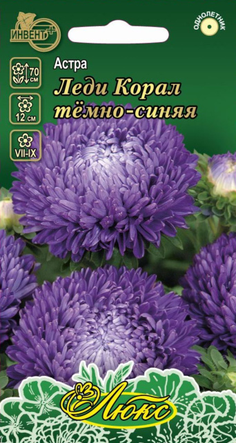 Астра Леди Корал темно-синяя (серия ЛЮКС) ИНВЕНТ+: фото