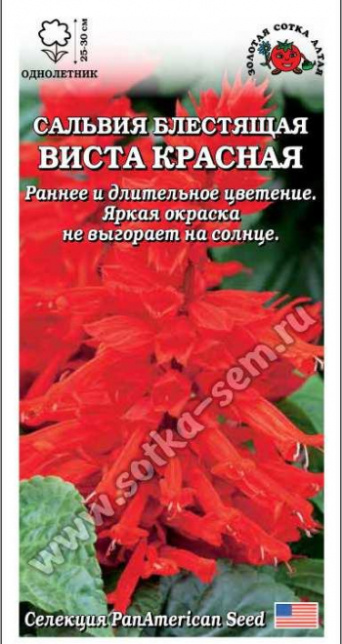 Семена сальвия Виста красная, Золотая Сотка: фото