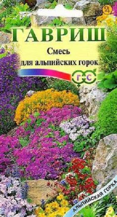 Семена декоративная смесь Альпийская горка, Гавриш: фото