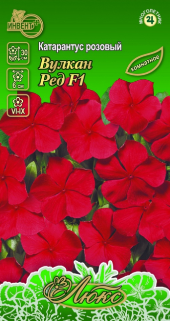 Катарантус розовый Вулкан F1 ред (серия ЛЮКС), ИНВЕНТ+: фото