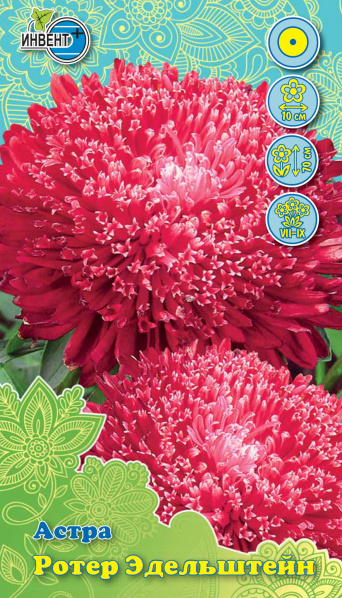Астра Ротер Эдельштейн, ИНВЕНТ+: фото