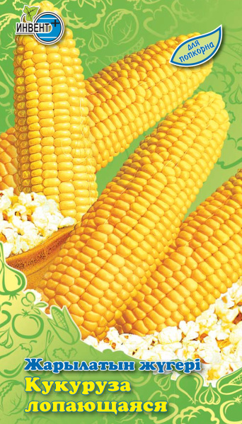 Кукуруза лопающаяся (для попкорна), ИНВЕНТ+: фото